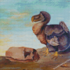 Aesthetic Dodo Bird Diamond Paintings