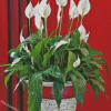 Aesthetic Peace Lily Diamond Paintings