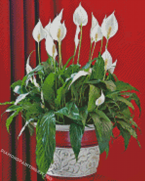 Aesthetic Peace Lily Diamond Paintings