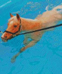 Aesthetic Horse In Water Diamond Paintings