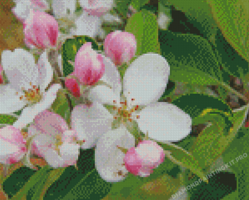 Apple Blossom Diamond Painting