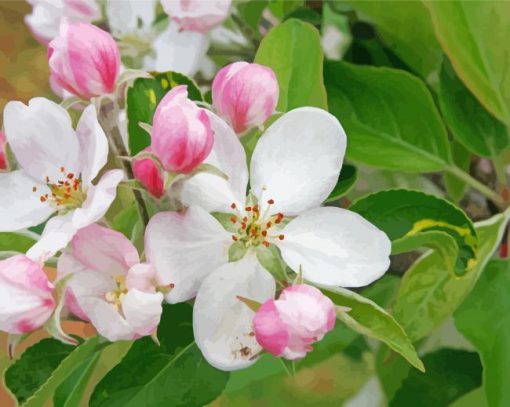 Apple Blossom Diamond Painting