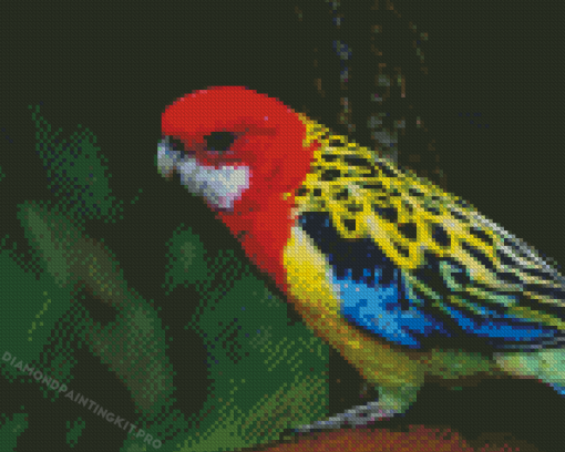 Australian King Parrot Bird Diamond Painting