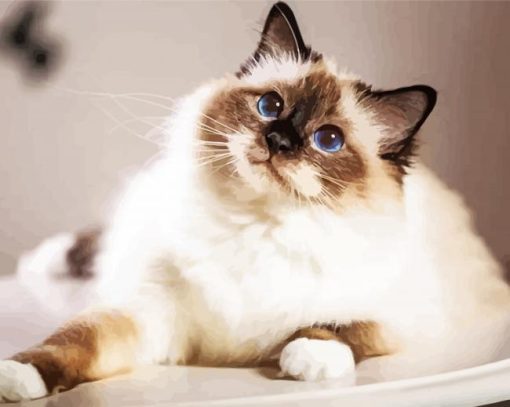 Birman Diamond Paintings