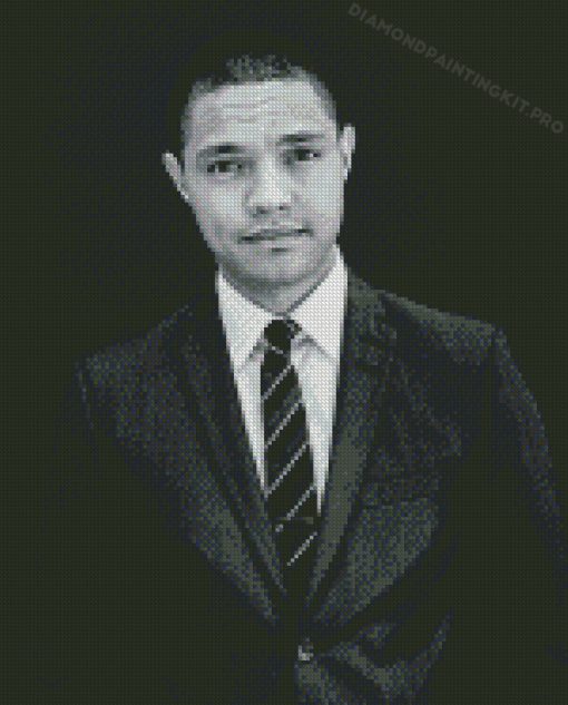 Black And White Trevor Noah Diamond Painting