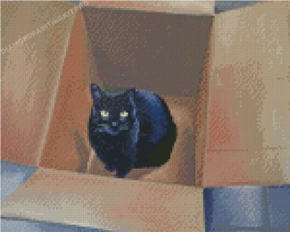 Black Cat In A Box Diamond Painting
