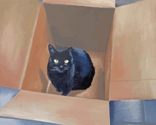 Black Cat In A Box Diamond Painting