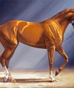 Brown Secretariat Horse Diamond Paintings