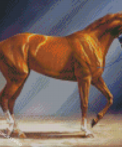 Brown Secretariat Horse Diamond Paintings