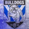 Canterbury Bulldogs Logo Diamond Painting