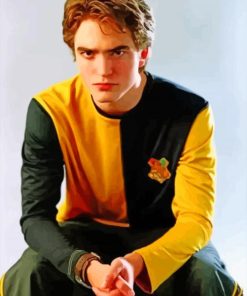 Cedric Diggory Hufflepuff Diamond Paintings