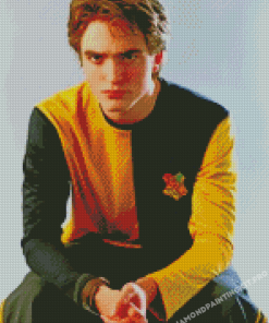 Cedric Diggory Hufflepuff Diamond Paintings