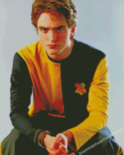 Cedric Diggory Hufflepuff Diamond Paintings