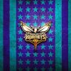 Charlotte Hornets Logo Art Diamond Paintings