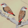 Diamond Firetail Birds Diamond Painting