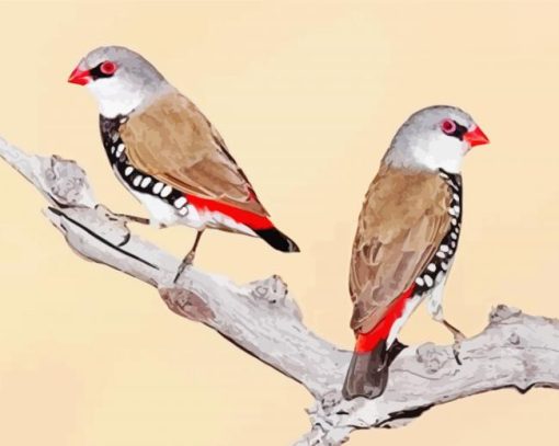 Diamond Firetail Birds Diamond Painting