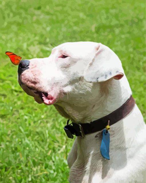 Dogo Argentino And Butterfly Diamond Painting