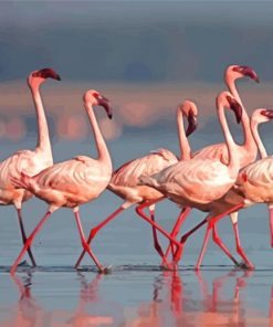 Flamingos Lake Nakuru Diamond Paintings