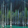 Forest And Water Landscape Diamond Paintings