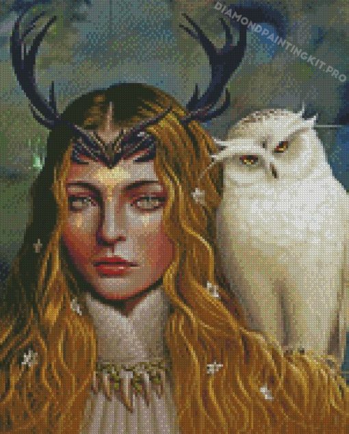 Girl With Owl Bird Diamond Painting