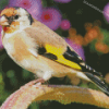 Goldfinch Bird Diamond Painting