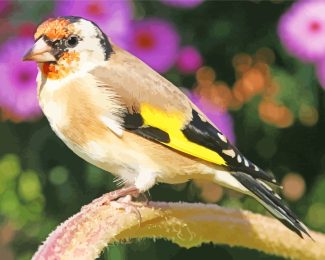 Goldfinch Bird Diamond Painting