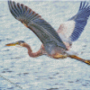 Great Heron Flying Diamond Paintings