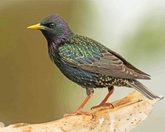 Green Blue And Purple Starling Diamond Painting