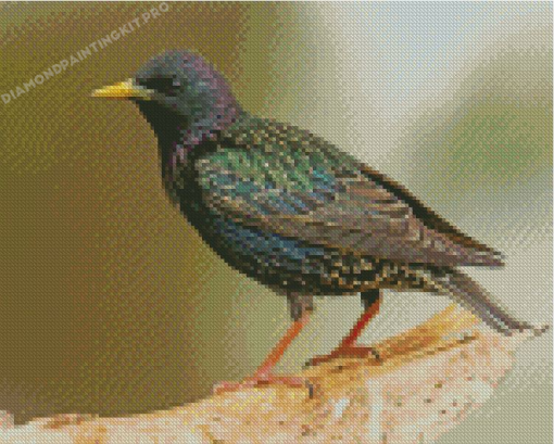 Green Blue And Purple Starling Diamond Painting