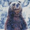 Grizzly Bear In The Snow Diamond Painting