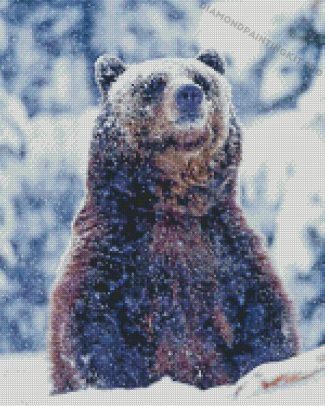 Grizzly Bear In The Snow Diamond Painting