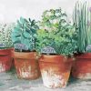 Herb Plant Pots Diamond Paintings