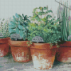 Herb Plant Pots Diamond Paintings