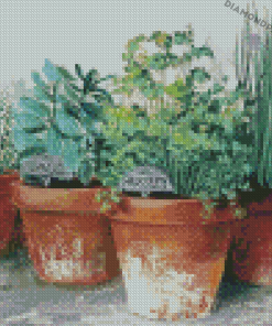 Herb Plant Pots Diamond Paintings