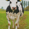 Holstein Friesian Cattle Diamond Paintings