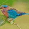 Indian Roller Bird Diamond Painting