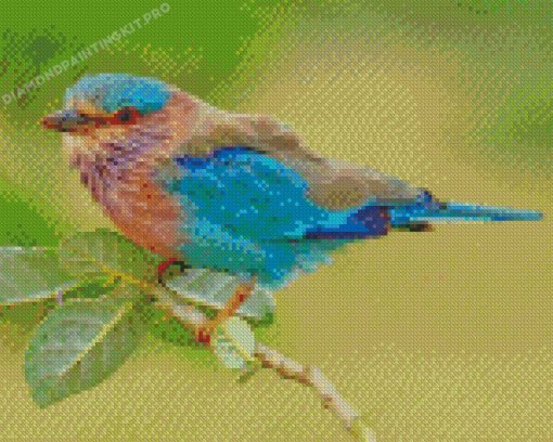 Indian Roller Bird Diamond Painting