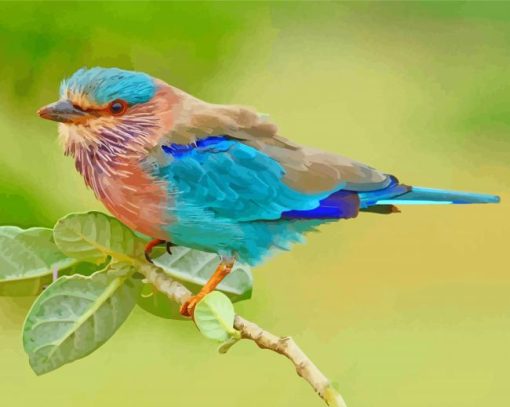 Indian Roller Bird Diamond Painting