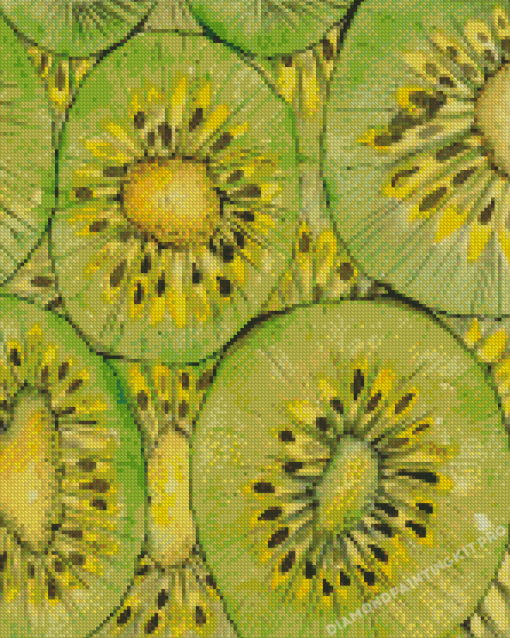 Kiwi Fruit Art Diamond Painting