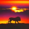Lion Silhouette At Sunset Diamond Painting