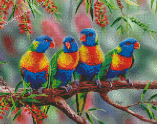 Lorikeets Row Diamond Painting