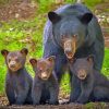 Mama Bear And 3 Cubs Animals Diamond Painting