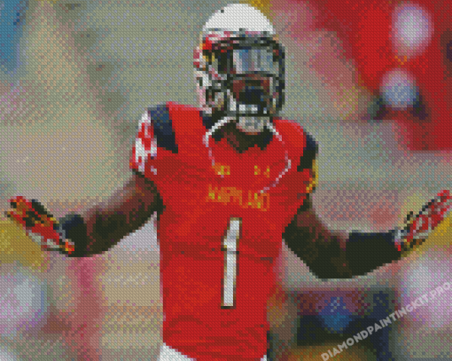 Maryland Terrapins Football Diamond Paintings