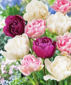 Peony Tulip Flowers Diamond Paintings