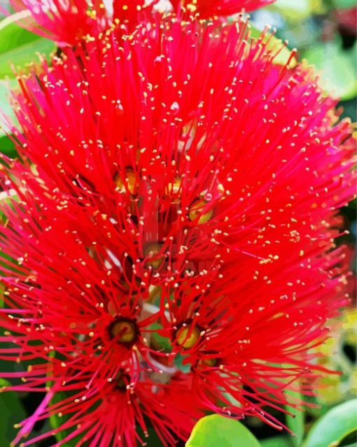 Pohutukawa Flower Diamond Paintings