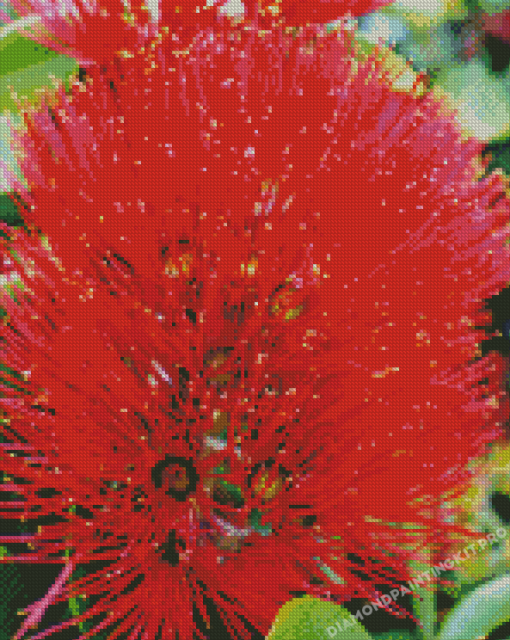 Pohutukawa Flower Diamond Paintings