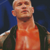 Randy Orton Diamond Paintings