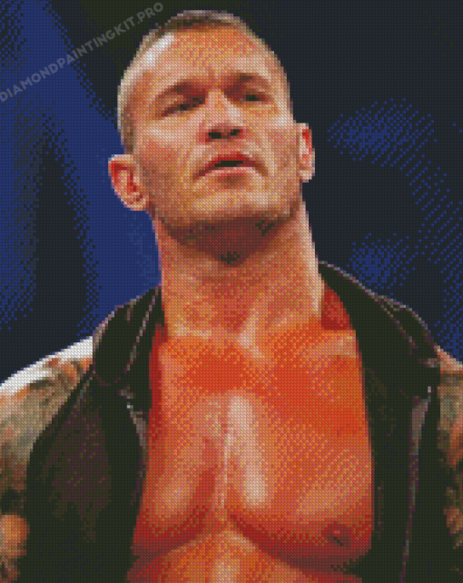 Randy Orton Diamond Paintings