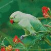 Rose Ringed Parakeet Diamond Painting