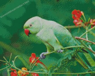 Rose Ringed Parakeet Diamond Painting